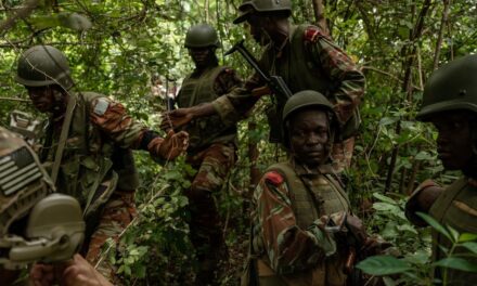 Militantes se refugian entre elefantes y leones en los parques nacionales de África occidental