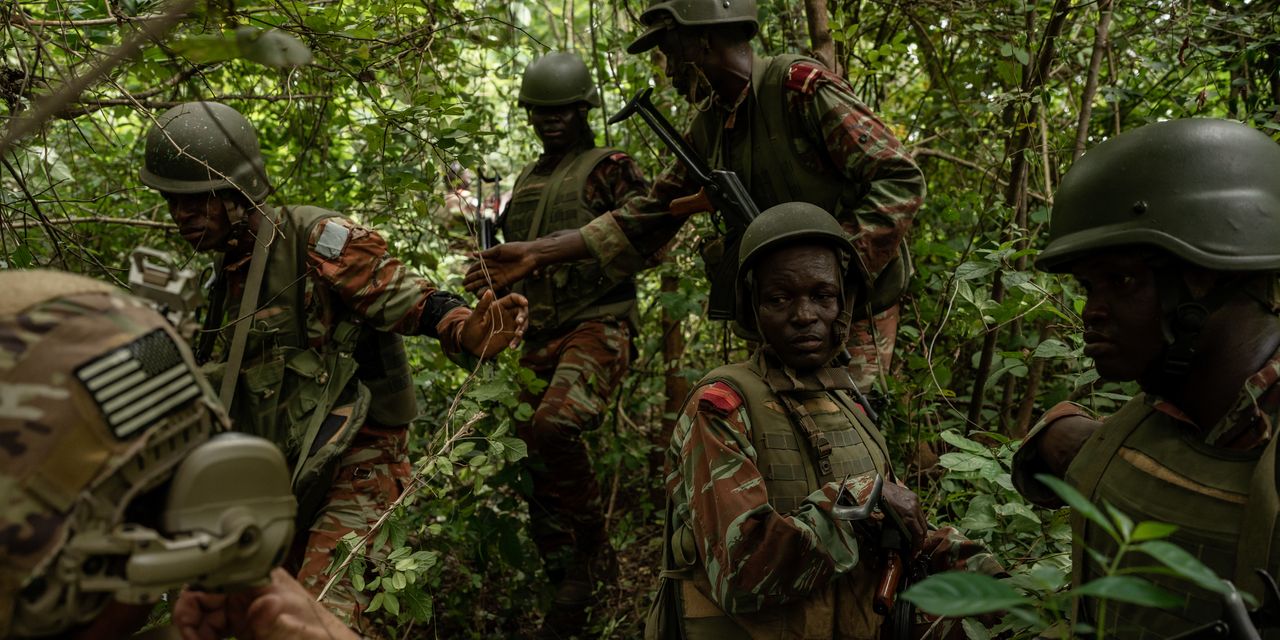 Militantes se refugian entre elefantes y leones en los parques nacionales de África occidental
