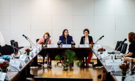 Mulheres retomam debates sobre política industrial e innovación en el MDIC — Ministério do Desenvolvimento, Indústria, Comércio e Serviços