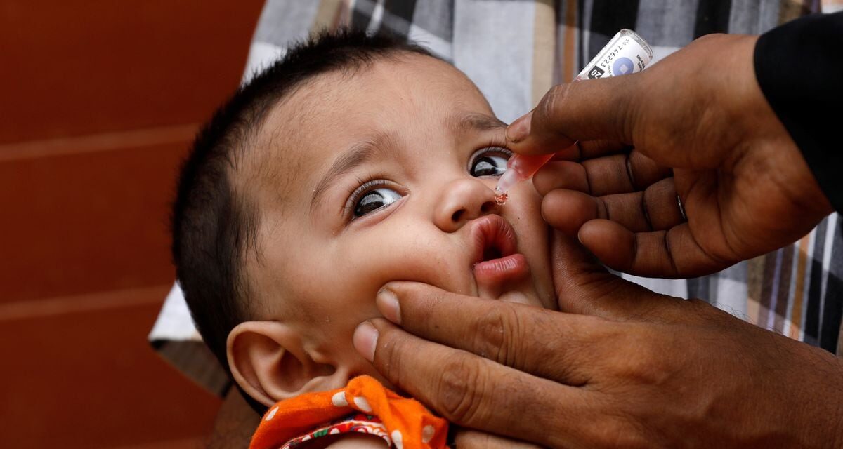 Nigeria, Somalia, Yemen y la República Democrática del Congo, fundamentales para un mundo sin polio |  Red de expertos |  Planeta Futuro