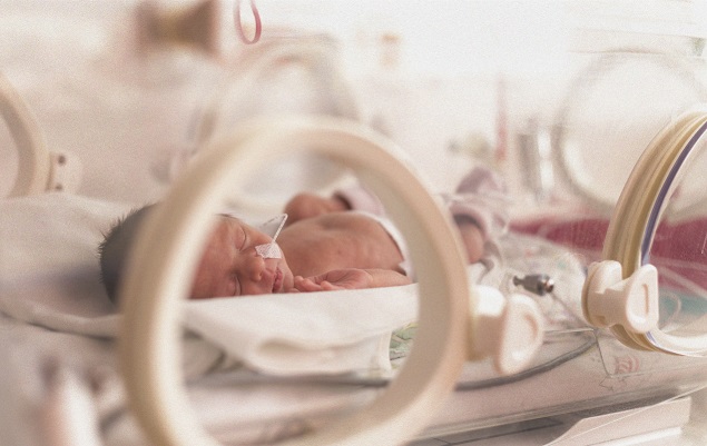 Ocho de cada 100 bebés en la Rep. Dominicana son prematuros |  AlMomento.net