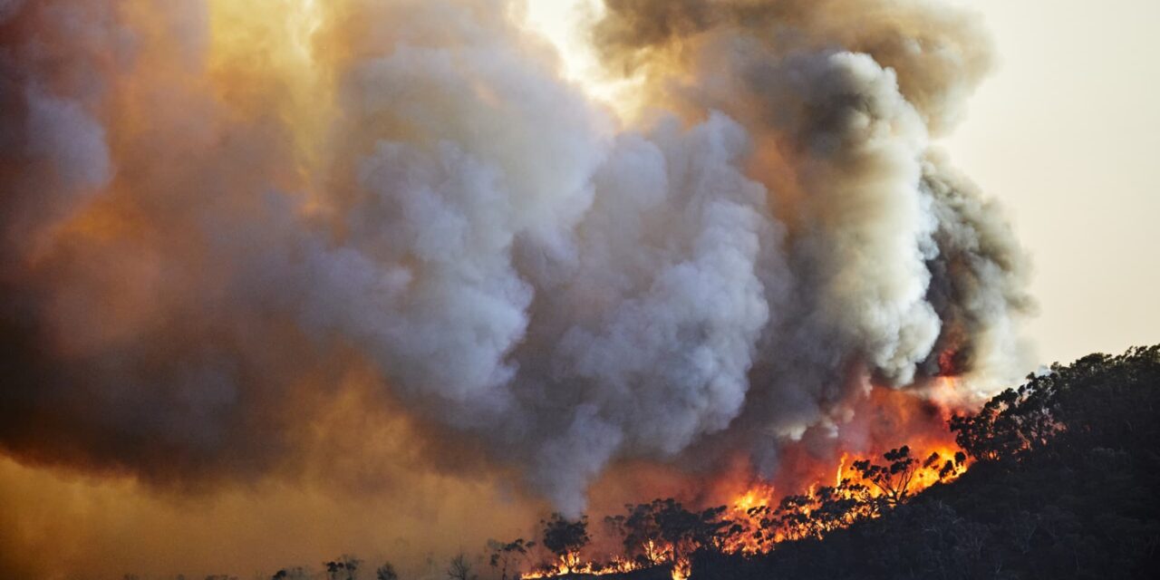 Por qué el cambio climático puede costarle mucho dinero y qué hacer al respecto
