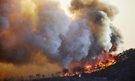 Por qué el cambio climático puede costarle mucho dinero y qué hacer al respecto