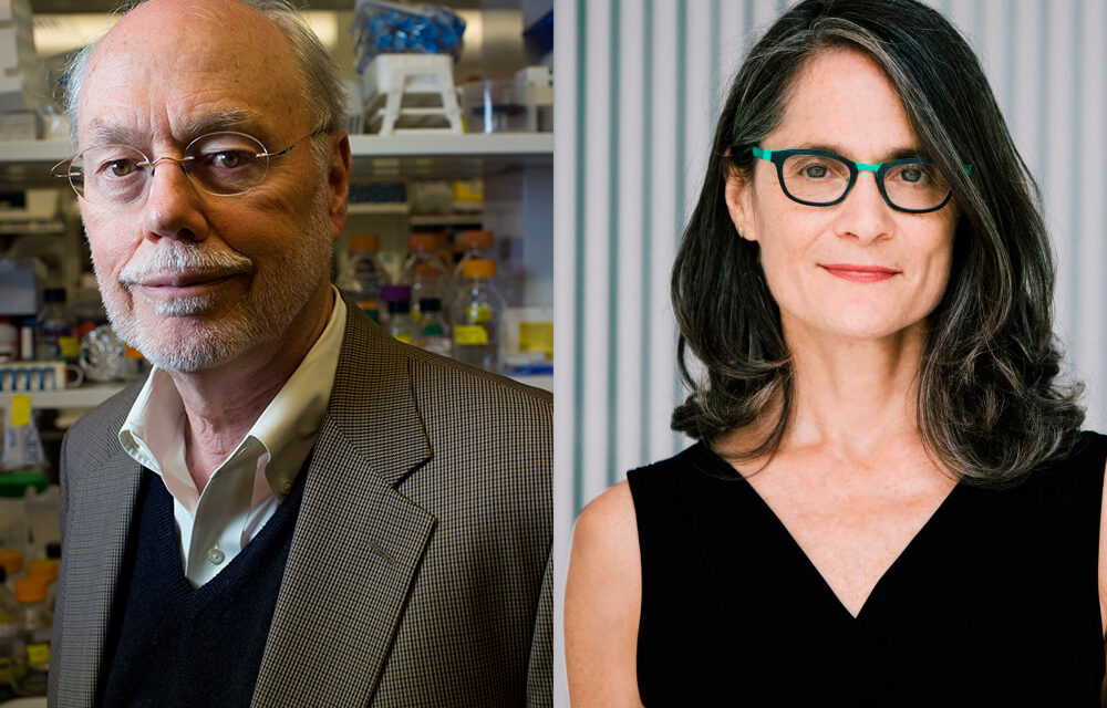 Preguntas y respuestas: Phillip Sharp y Amy Brand sobre el futuro de la publicación de acceso abierto |  Noticias del MIT