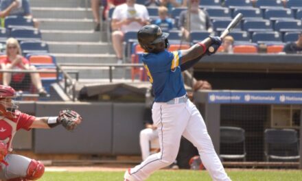 Prospecto dominicano logra récord de jonrón en su debut en la Liga Dominicana de Beisbol
