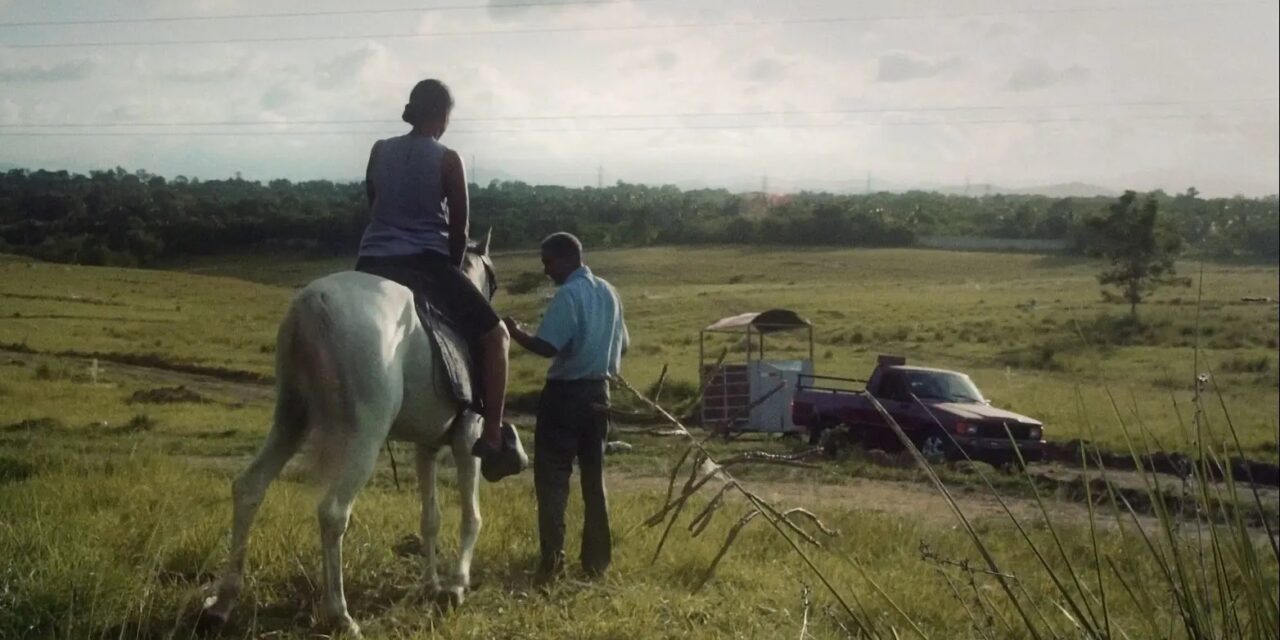 RUMANIA: Reconocen cortometraje dominicano “Caballo blanco” |  AlMomento.net