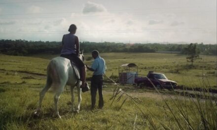 RUMANIA: Reconocen cortometraje dominicano “Caballo blanco” |  AlMomento.net