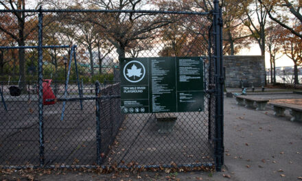 Robert Moses puso monos en un parque de Harlem.  Finalmente se han ido.