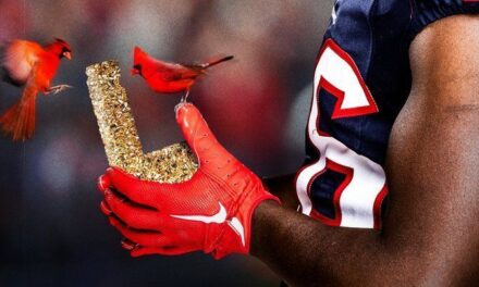 Semana 11 de la NFL: Jaguars y Texans lideran a los principales trolls de la NFL