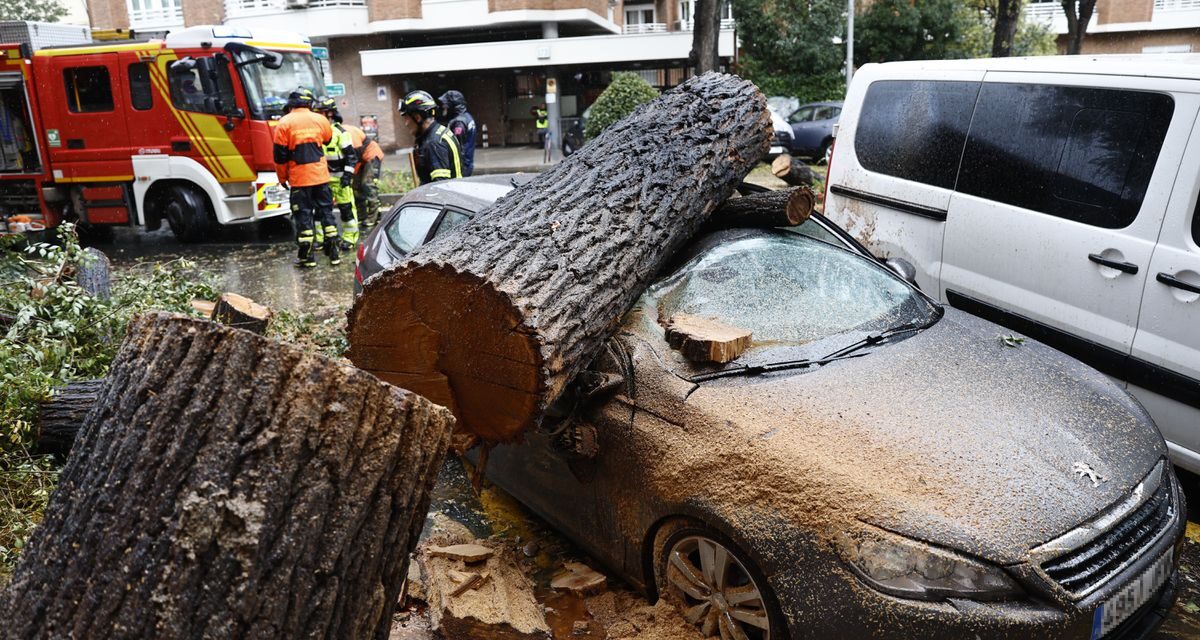 Toda España salvo Canarias, bajo aviso por la superborrasca 'Ciarán' |  España
