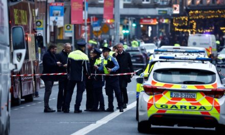 Un hombre armado con un cuchillo aquí a cinco personas, tres de ellas niños, en Dublín |  internacional