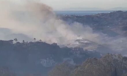 Un incendio forestal obliga a desalojar varias urbanizaciones en Mijas |  España