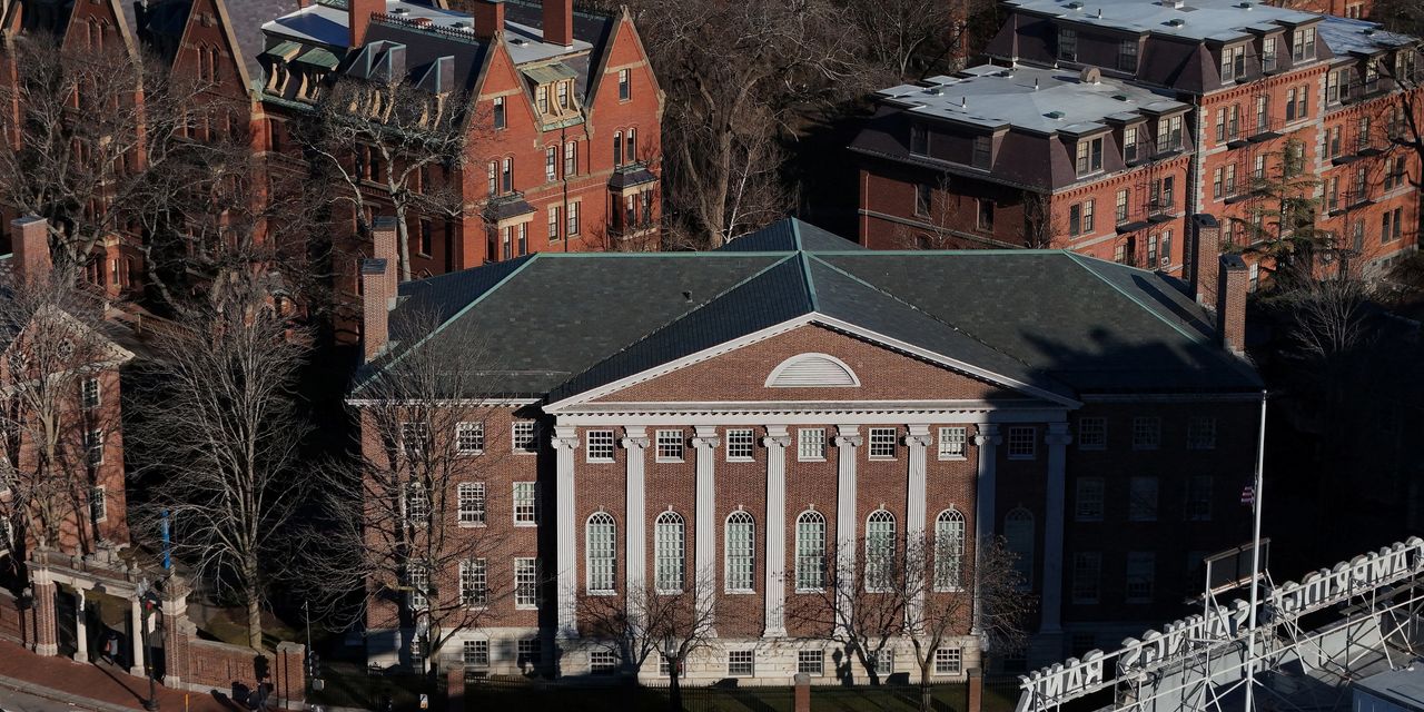 A medida que aumenta la presión sobre el presidente de Harvard, la junta universitaria siente la presión