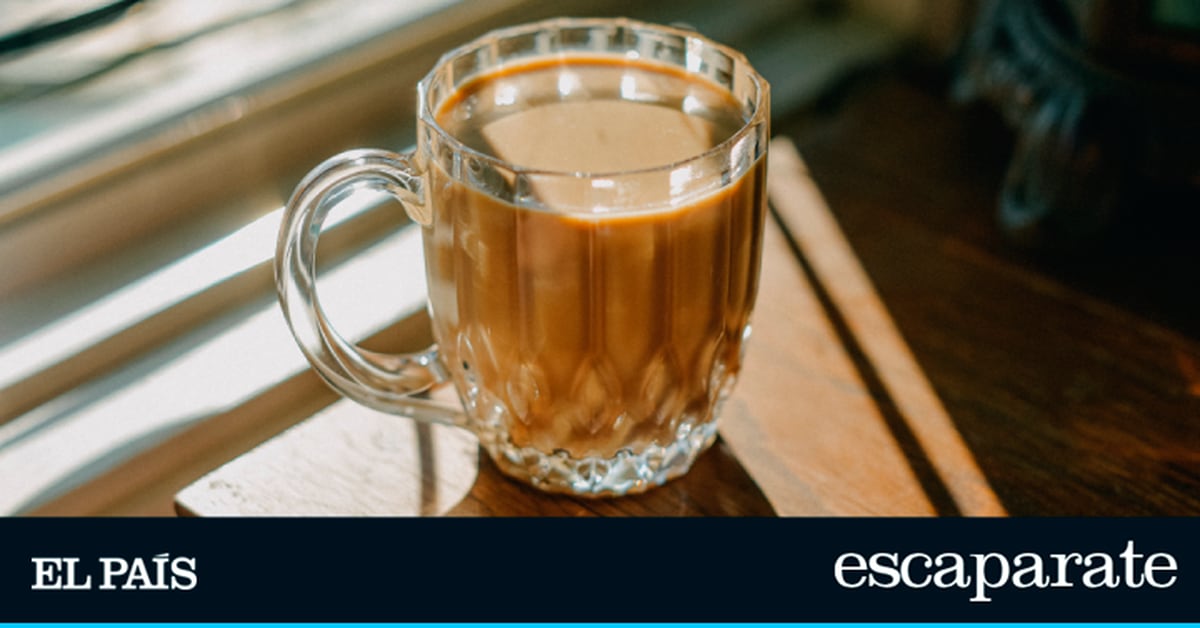 Achicoria: propiedades y cómo tomarla |  gastronomia
