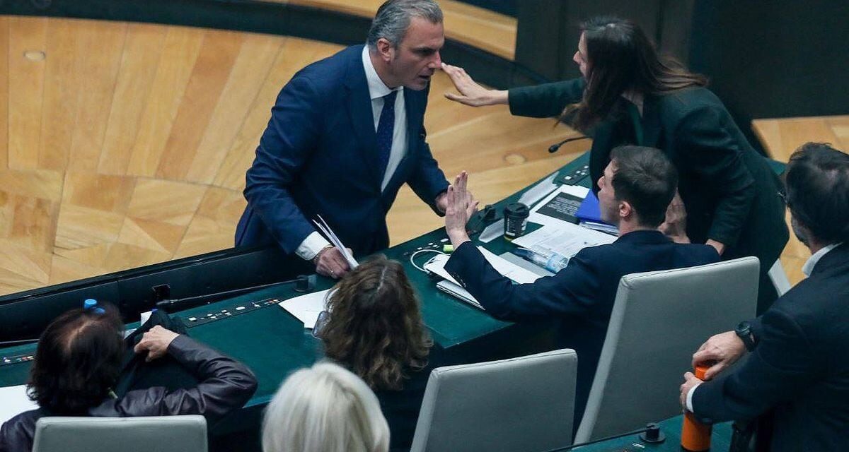 Almeida defiende al presidente del Pleno, del PP, tras la agresión de Ortega Smith: “Repasen los vídeos” |  Madrid |  España