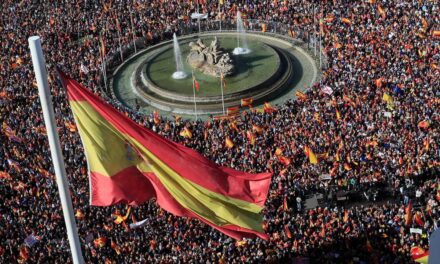 Amnistía, euríbor, fentanilo o ultrafalso, entre las candidatas a palabra del año 2023 de la FundeuRAE |  Cultura