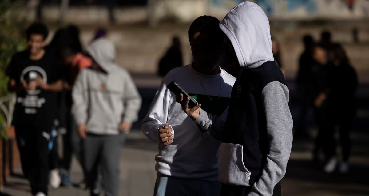 Cataluña anuncia la prohibición de los móviles en las escuelas de primaria el próximo curso |  Cataluña |  España