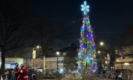 Ceremonia de encendido de árboles se lleva a cabo en Bronx Ciccarone Park