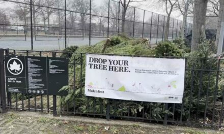 Comienza el Mulchfest anual en toda la ciudad