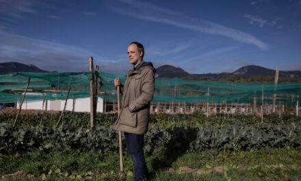 Cómo lograr más cosecha y dañar menos al medio ambiente: así funciona la agricultura regenerativa |  Clima y Medio Ambiente