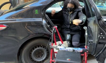 Crece la preocupación por la accesibilidad de los vehículos de alquiler
