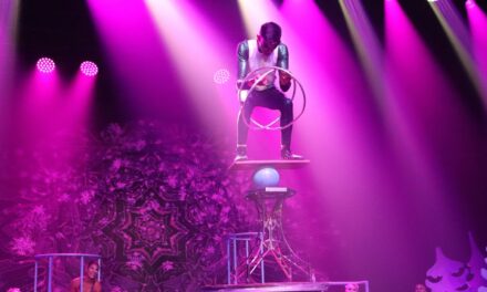 Cree recuerdos para atesorar para siempre en CIRQUE MUSICA HOLIDAY WONDERLAND