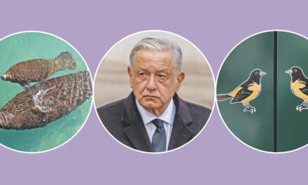 Cuestionario de noticias del 30 de diciembre de 2023