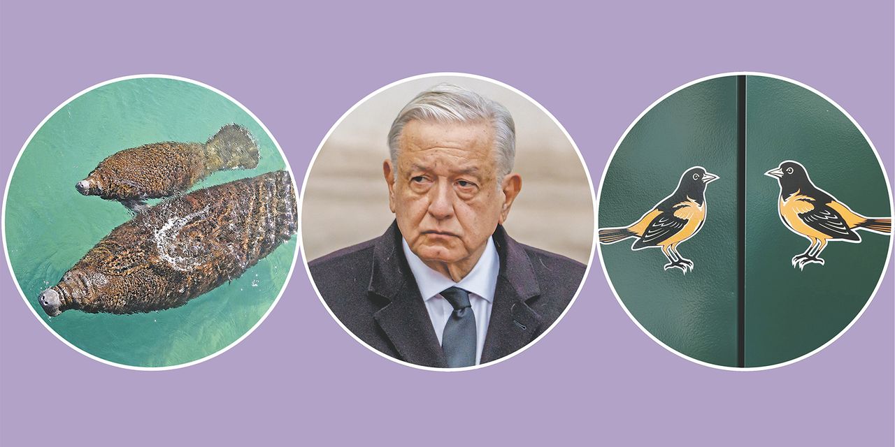 Cuestionario de noticias del 30 de diciembre de 2023