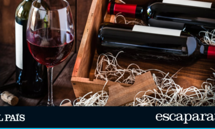 Diez regalos para amantes del vino |  gastronomia