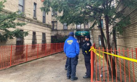 Dos niños encontrados muertos en un apartamento del Bronx, dice la policía