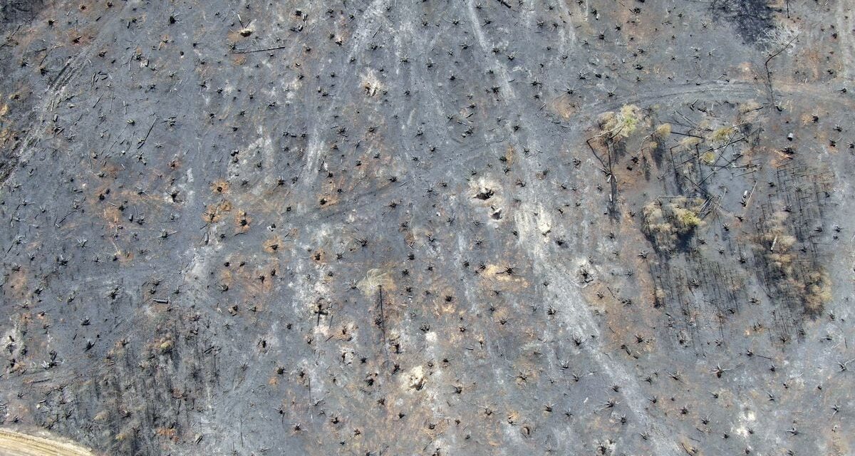 El aire de Europa es el más seco de los últimos 400 años |  Ciencia
