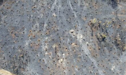 El aire de Europa es el más seco de los últimos 400 años |  Ciencia