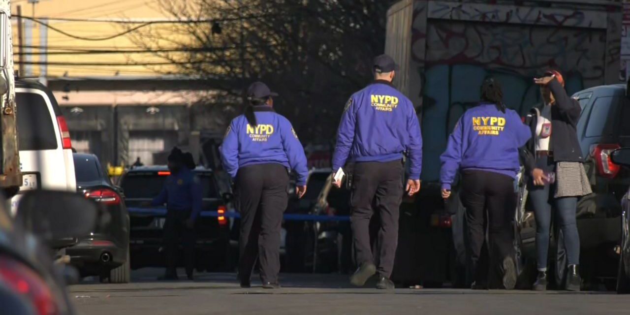El informe de seguridad escolar desglosa los delitos en las escuelas de la ciudad