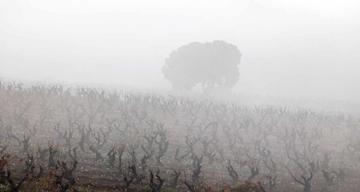 El tiempo: Las temperaturas caen hasta 10° tras el episodio de calor extremo por la llegada de una masa de aire más fría |  Madrid |  España
