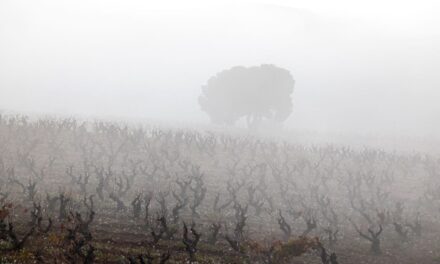 El tiempo: Las temperaturas caen hasta 10° tras el episodio de calor extremo por la llegada de una masa de aire más fría |  Madrid |  España