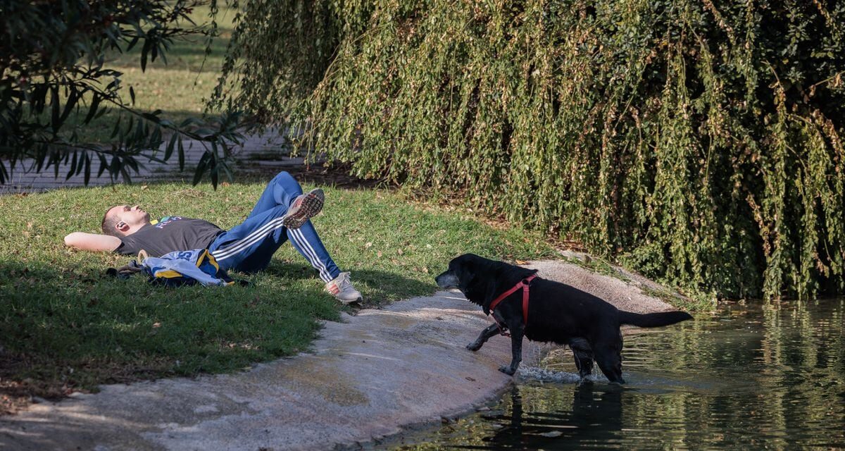 El tiempo: Llegan dos días de temperaturas disparadas: 20° en el Cantábrico, 25° en el Mediterráneo y 30° en el sureste |  España