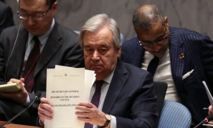 El veto a un alto el fuego en Gaza, el último fiasco de la ONU |  internacional