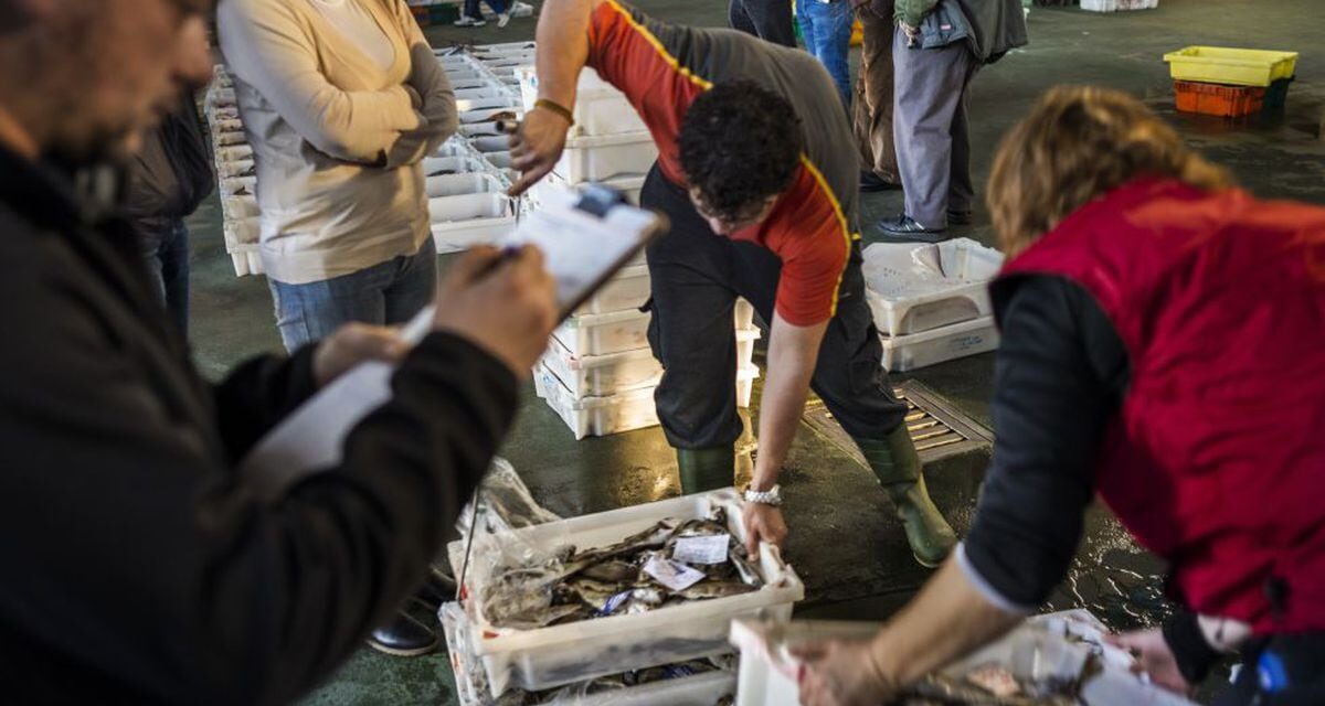 España intenta mitigar el recorte de días de pesca en el Mediterráneo |  Economía