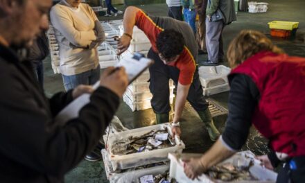 España intenta mitigar el recorte de días de pesca en el Mediterráneo |  Economía