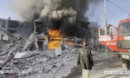 Franja de Gaza archivos – Remolacha