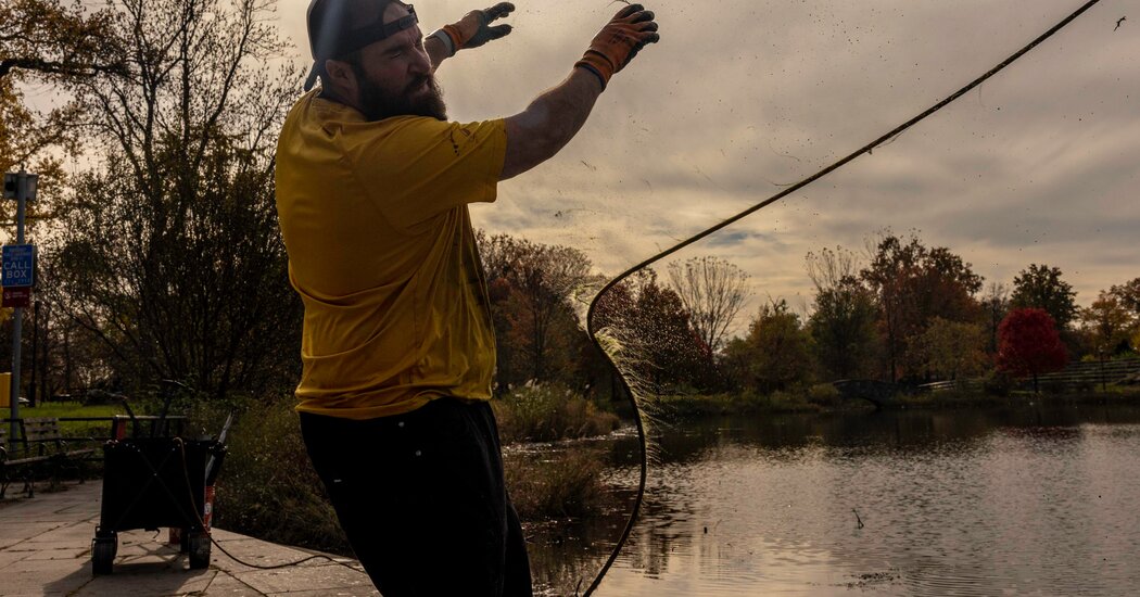 Granadas, bicicletas y armas: ¿puede un pescador magnético encontrar la fama?