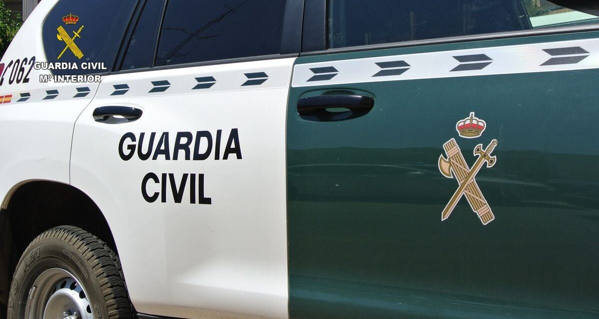 Hallados los cuerpos de dos hermanos tiroteados en un coche en Casarrubios del Monte (Toledo) |  España