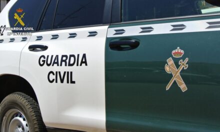 Hallados los cuerpos de dos hermanos tiroteados en un coche en Casarrubios del Monte (Toledo) |  España