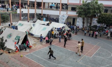 Informe PISA: Palestina consigue un resultado meritorio en su primera participación en la prueba |  Educación