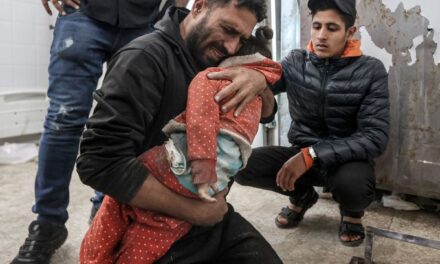Israel sigue sin lograr sus objetivos políticos y militares en Gaza tras dos meses de invasión |  internacional
