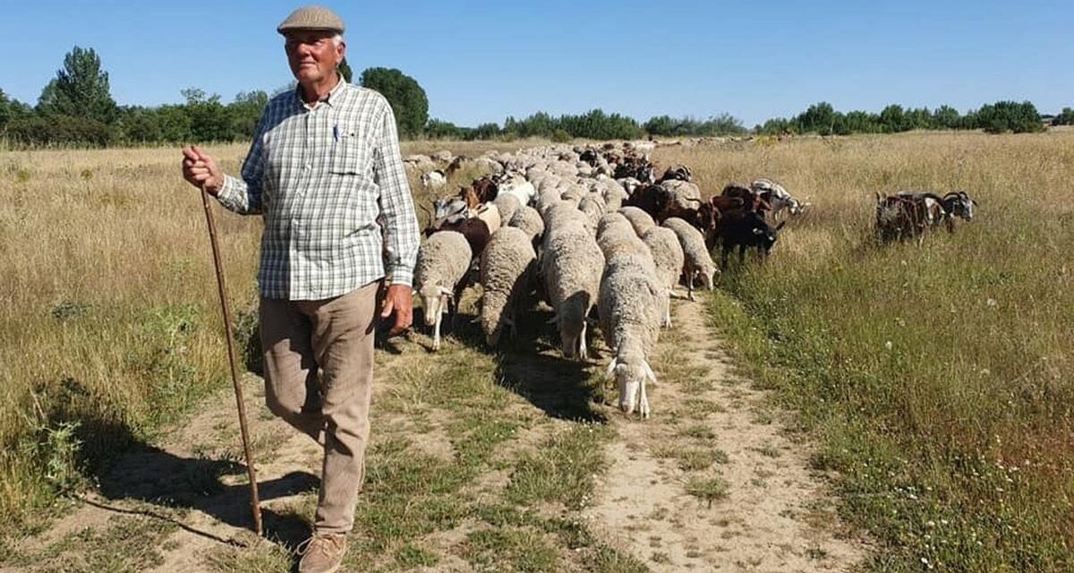 Jesús Garzón, pastor trashumante y defensor de la naturaleza |  Clima y Medio Ambiente
