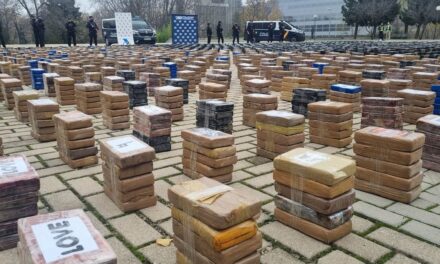 La Policía exhibe 11 toneladas de cocaína: “Nunca habías visto tanta droga junta” |  España
