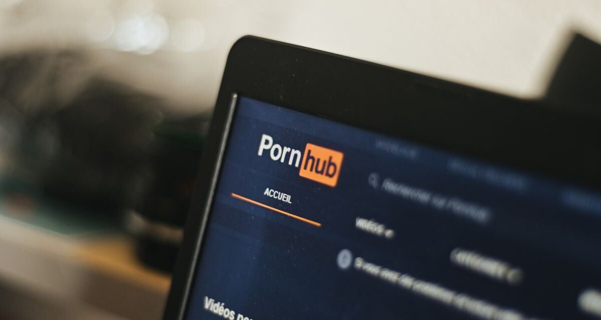 La UE someterá a Pornhub o XVideos a los mismos controles que a Instagram o TikTok |  Tecnología