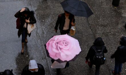 La ciudad de Nueva York se salvó de daños importantes durante la tormenta invernal