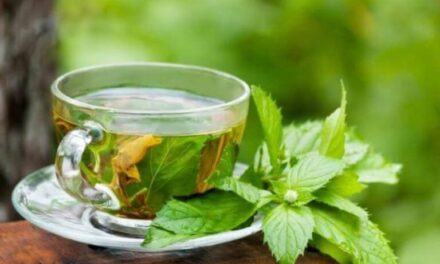 La infusión milenaria que brinda bienestar a la salud y ofrece beneficios incontables.